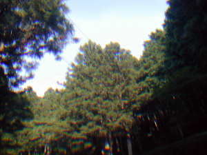 HIgashi-Yoshino